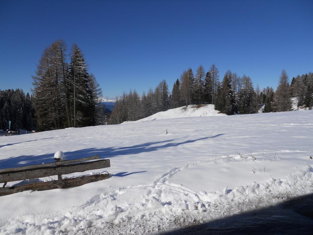 Villa Tamion Vigo di Fassa Εξωτερικό φωτογραφία